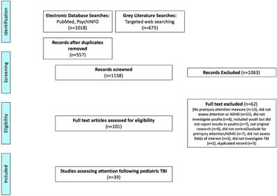 A Systematic Scoping Review of New Attention Problems Following Traumatic Brain Injury in Children
